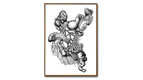 Digestive Desorder
